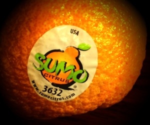 The Sumo trademark.
