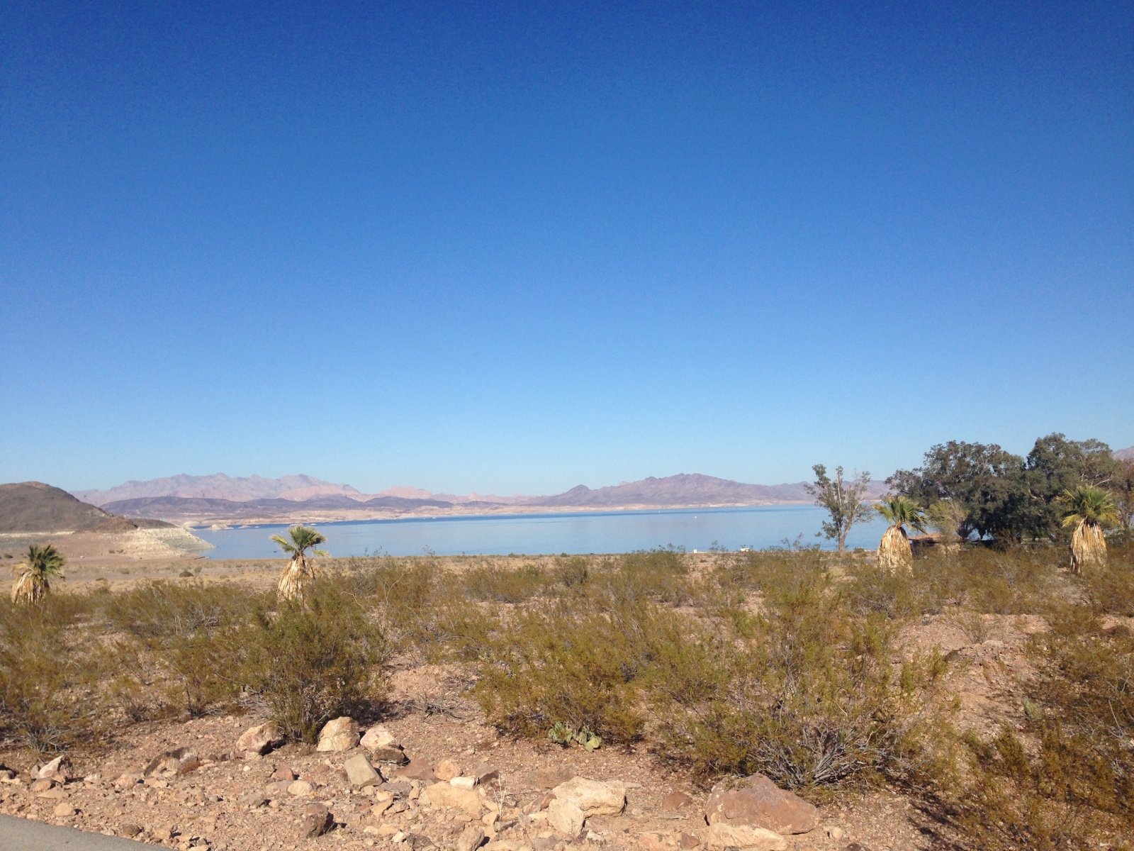 Looking at Lake Mead.  Marina is just to the right.